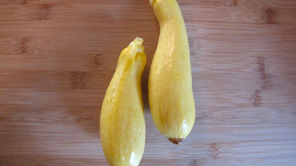 squash