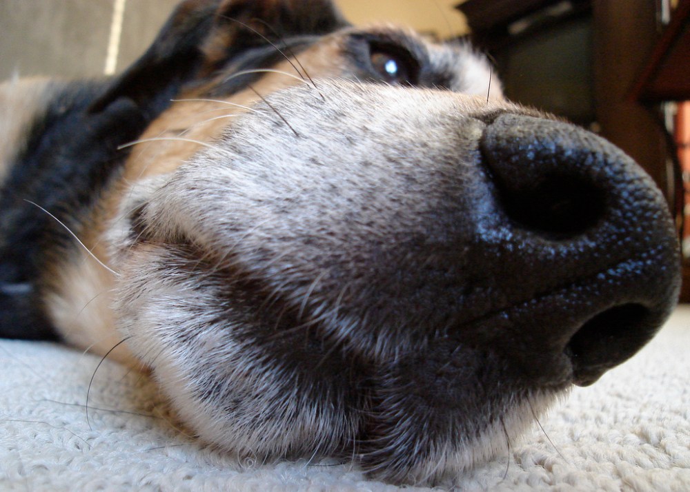 634806635_704f4c5b9a_b